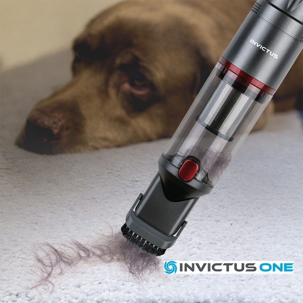 invictus-one-brezzicni-sesalnik