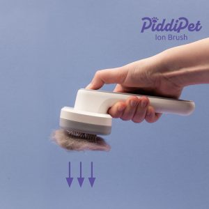 piddipet-ionska-krtaca