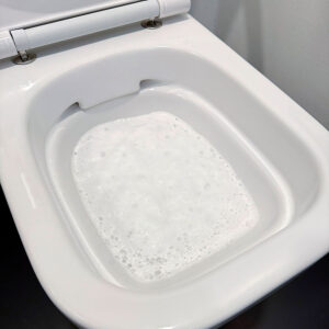 pure100-foam-flush