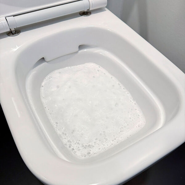 pure100-foam-flush